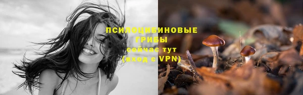 сатива Богородицк