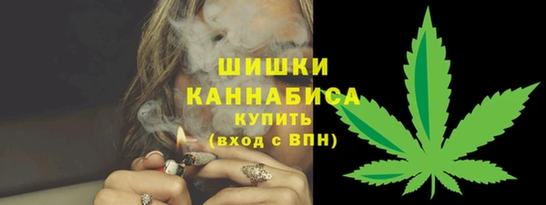 сатива Богородицк