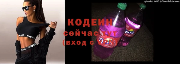 сатива Богородицк
