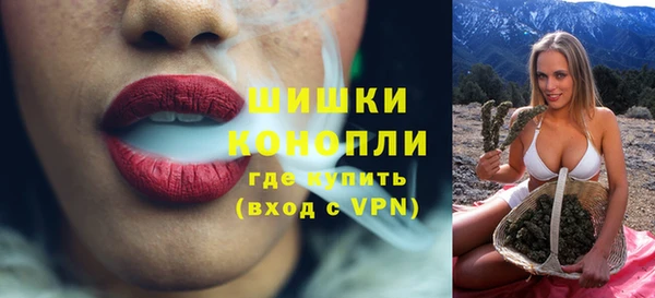 сатива Богородицк