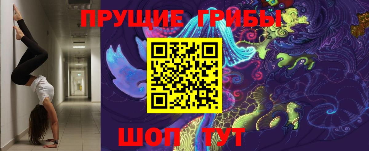 Гудермес  что такое   Галлюциногенные грибы мухоморы  Вход с VPN  Псилоцибиновые грибы ЛСД 